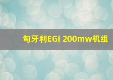 匈牙利EGI 200mw机组